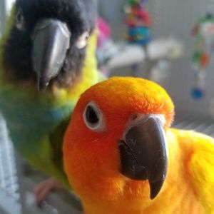 A variety of styles and designs!